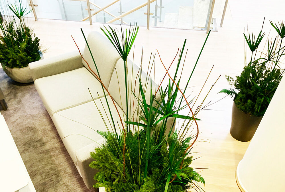 Interior landscaping installation integrated in car showroom, VIP client lounge