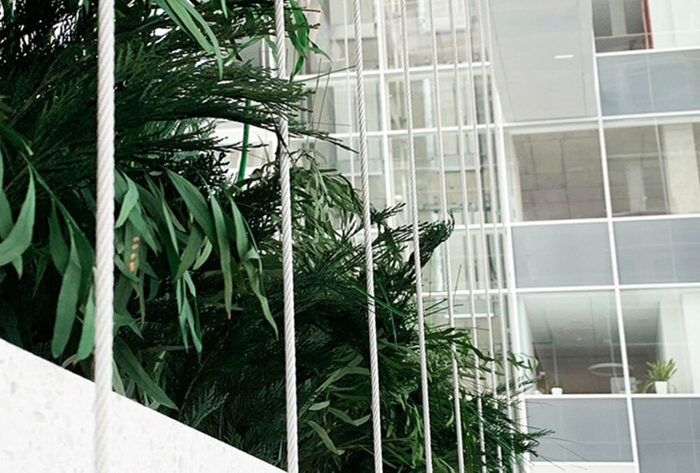 Interior landscaping installation integrated into business center amphitheater