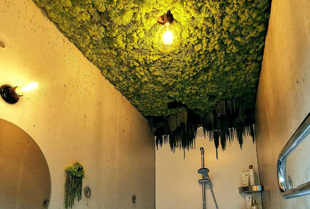 Interior landscaping ceiling installation integrated in privat apparment